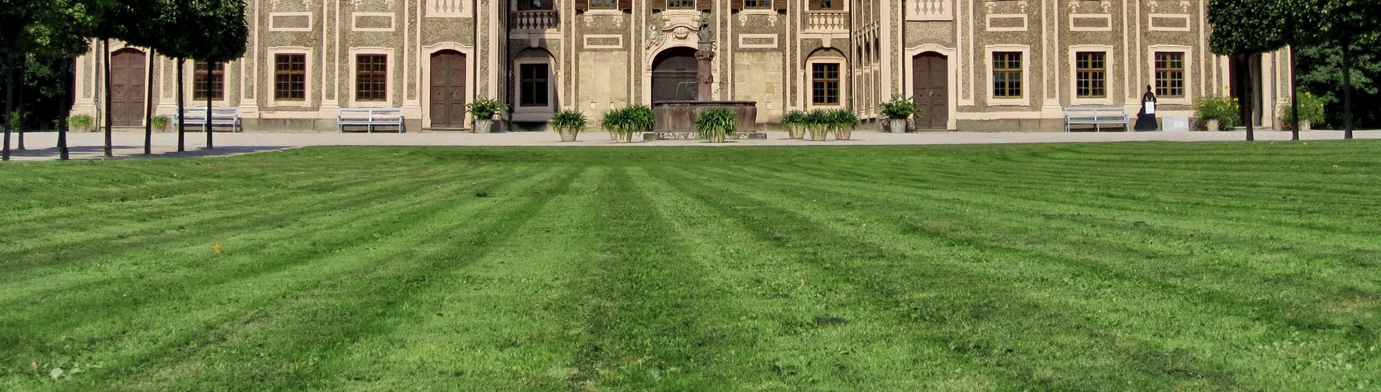 Le gazon Anglais en rouleau le reconnaître et le choisir